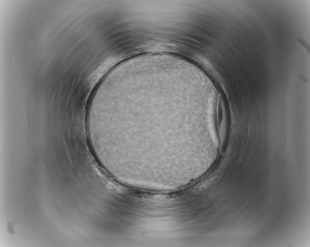 X0000098130986200805151111