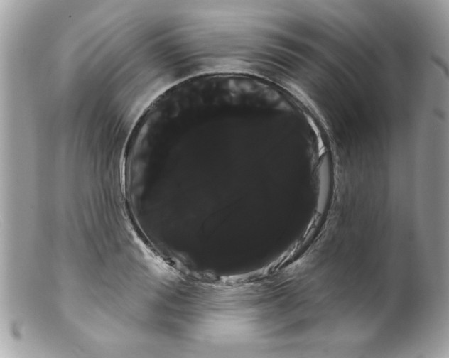 X0000098130988200805151111