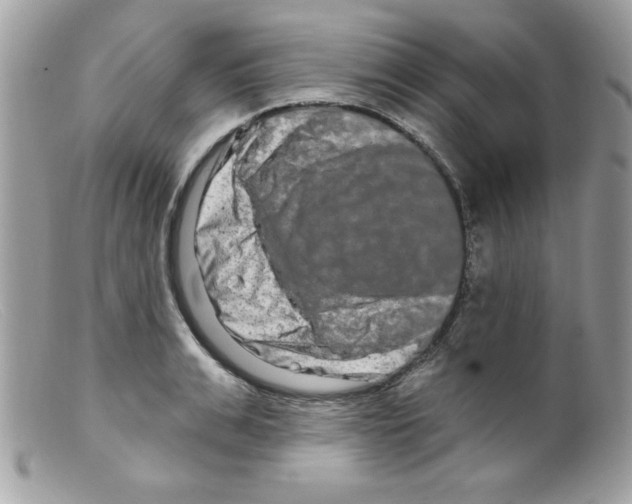X0000098130991200805151111