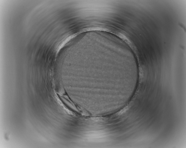 X0000098130993200805151111