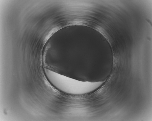 X0000098130994200805151111