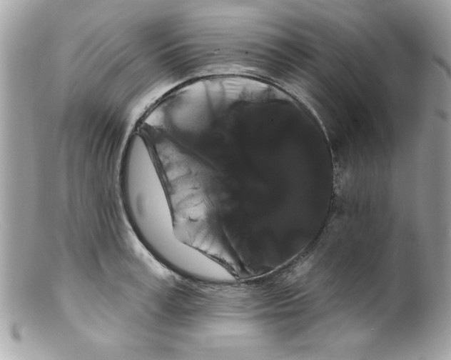 X0000098130995200805151111