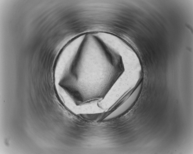 X0000098130996200805151111