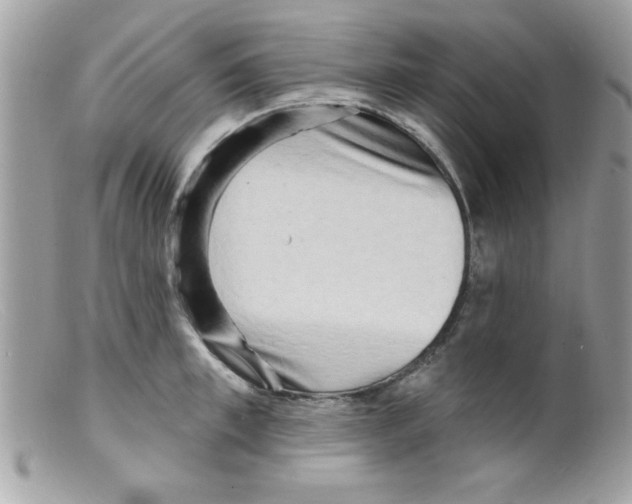 X0000098130997200805151111