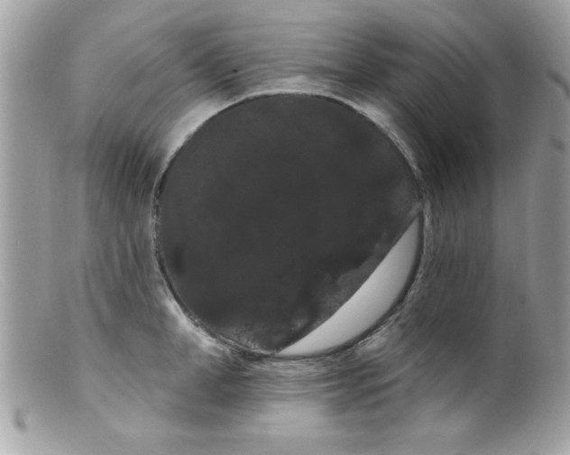 X0000098130998200805151111