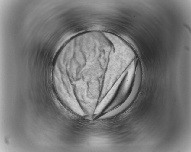 X0000098131000200805151111
