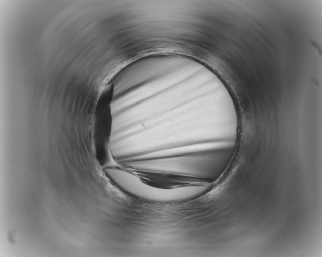 X0000098131001200805151111