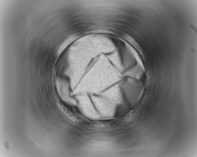 X0000098131002200805151111