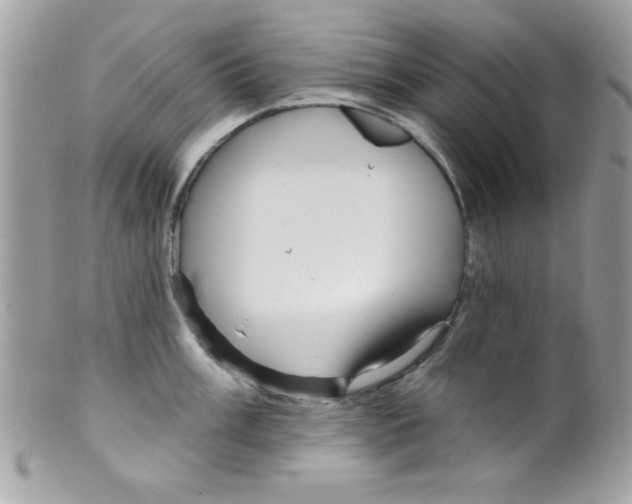 X0000098131003200805151111