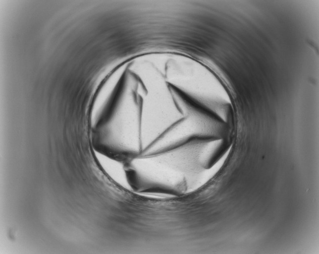 X0000098131004200805151111