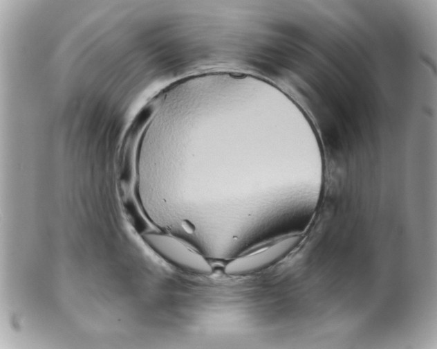 X0000098131005200805151111