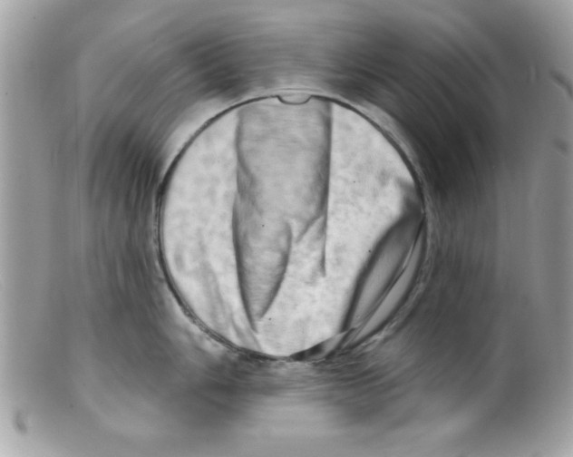 X0000098131006200805151111