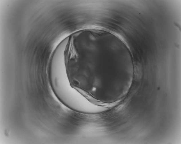 X0000098131007200805151111