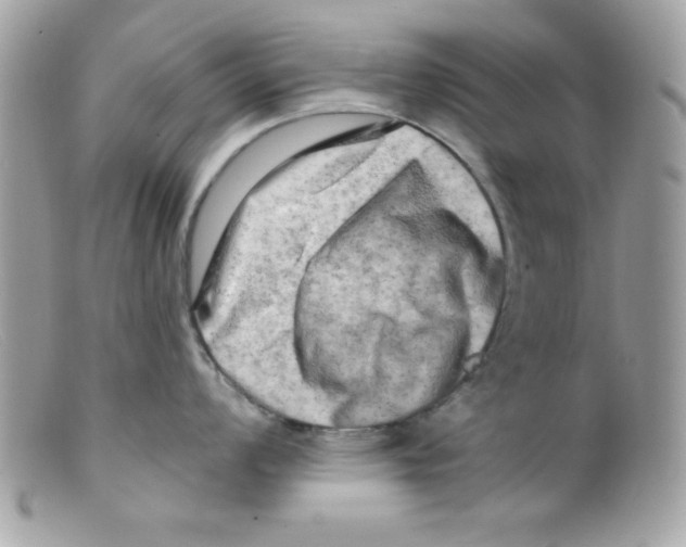 X0000098131008200805151111