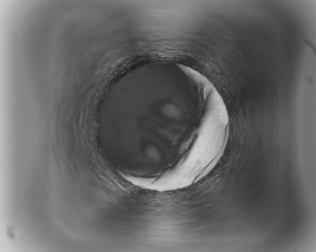 X0000098131009200805151110