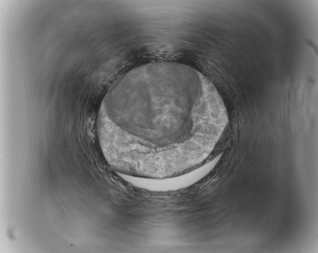 X0000098131010200805151110