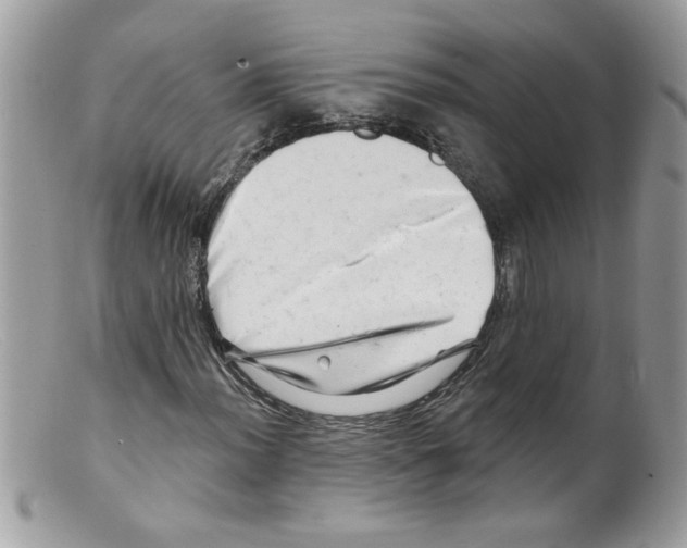 X0000098131012200805151110