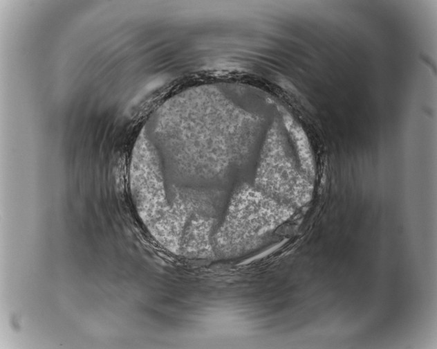 X0000098131014200805151110