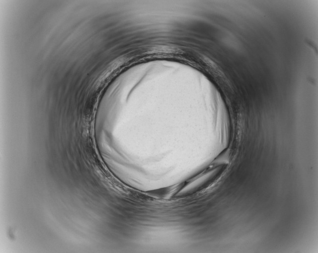 X0000098131017200805151110