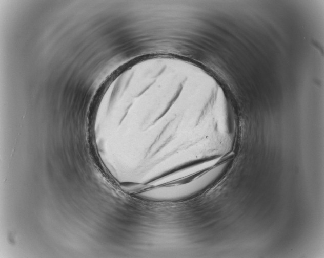 X0000098131020200805151110