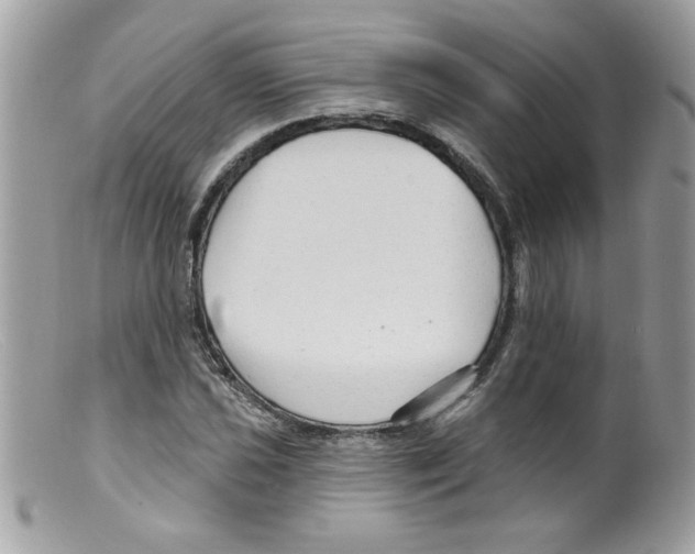 X0000098131021200805151110