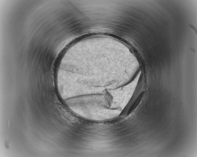 X0000098131022200805151110