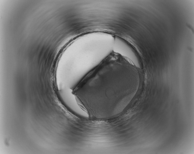 X0000098131024200805151110