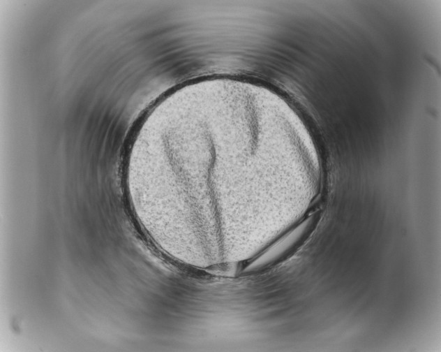 X0000098131026200805151110