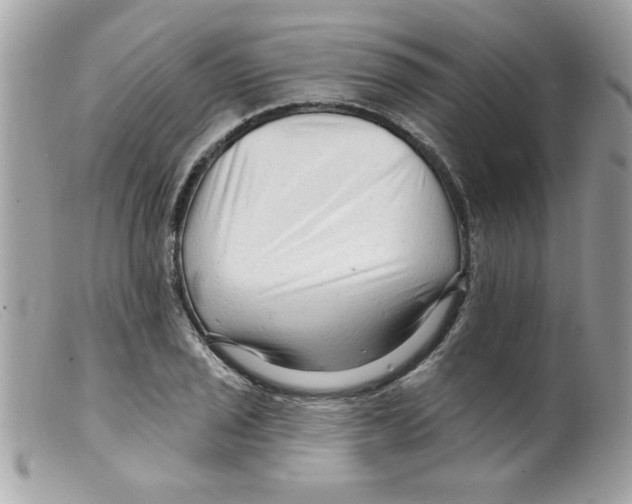 X0000098131029200805151110