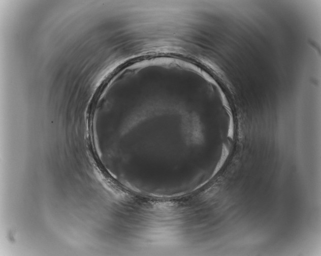 X0000098131031200805151110