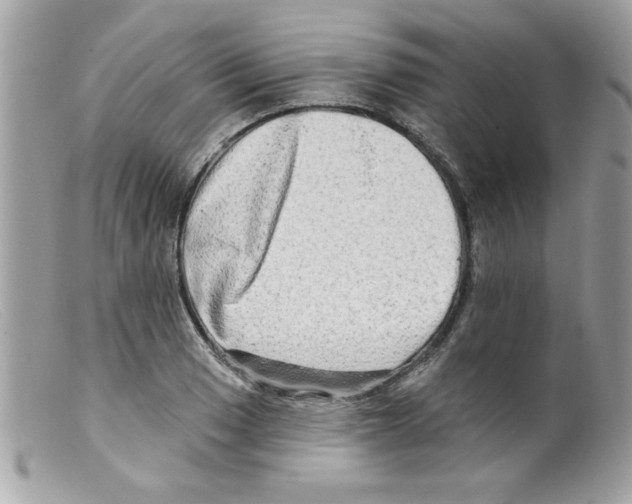 X0000098131033200805151110