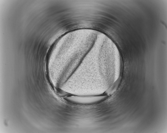 X0000098131034200805151110