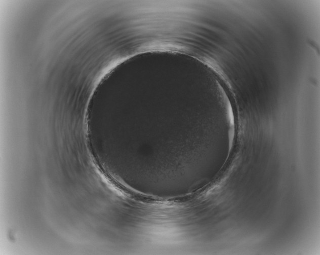 X0000098131037200805151110