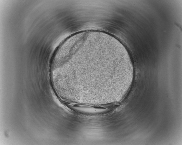 X0000098131038200805151110
