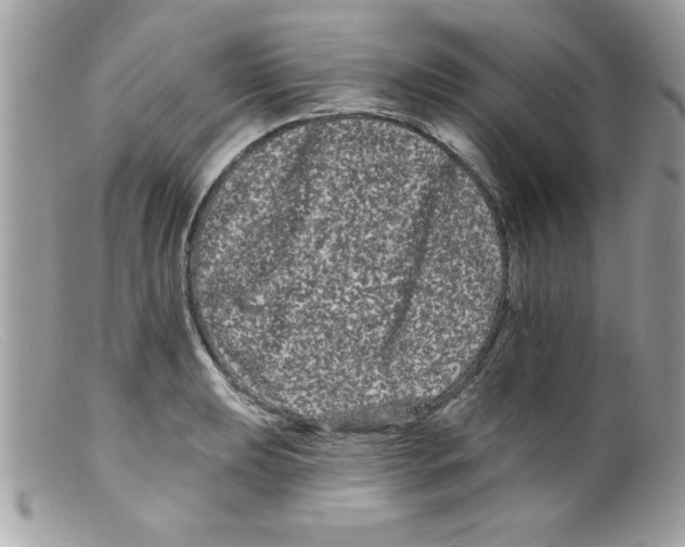 X0000098131039200805151110