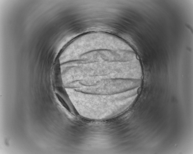 X0000098131040200805151111