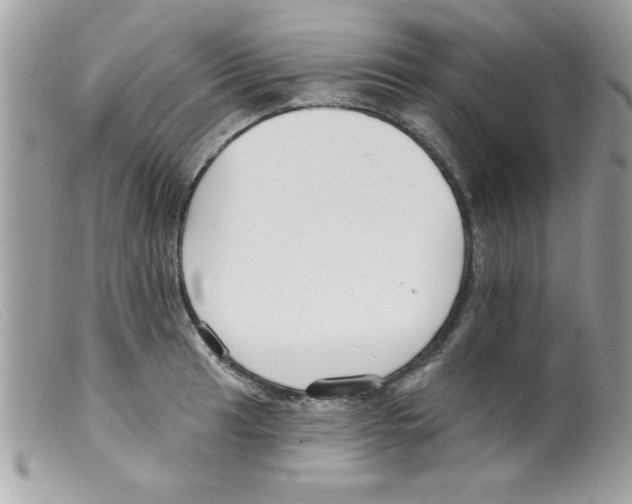 X0000098131041200805151111