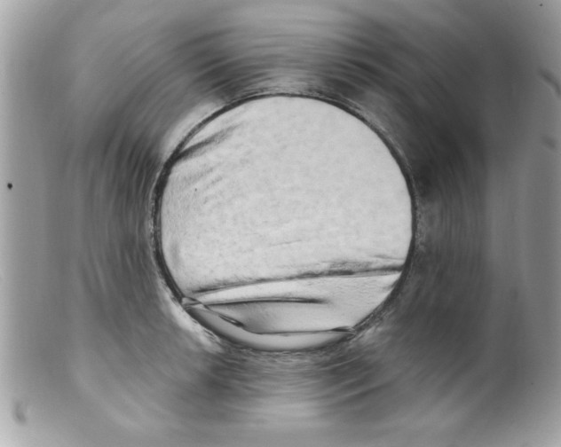 X0000098131042200805151111