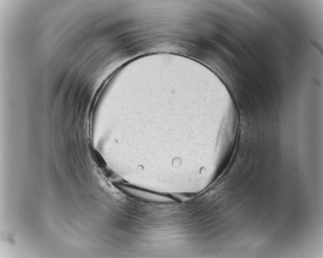 X0000098131044200805151111