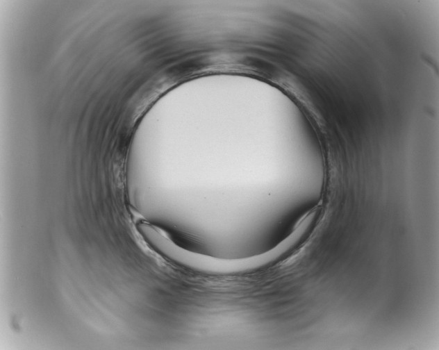 X0000098131049200805151111