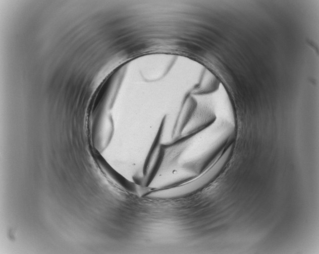 X0000098131050200805151111