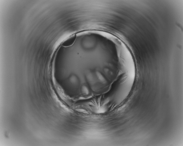 X0000098131053200805151111