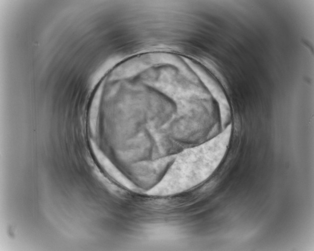 X0000098131054200805151111