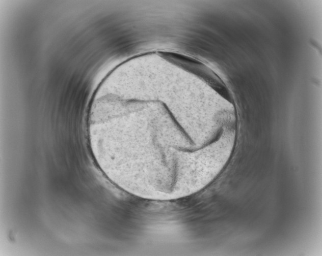 X0000098131056200805151111