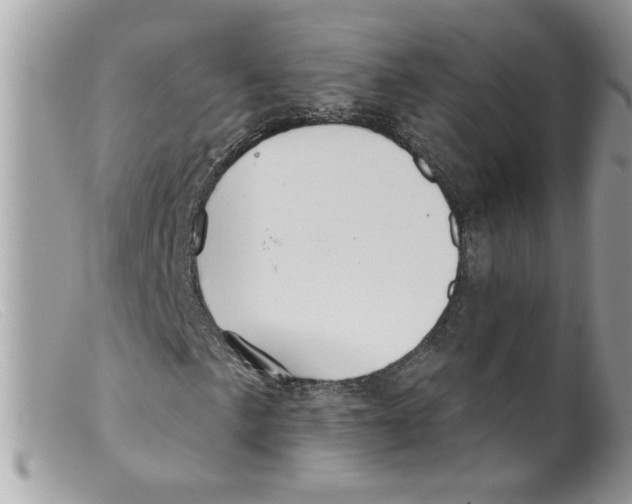 X0000098131057200805151110