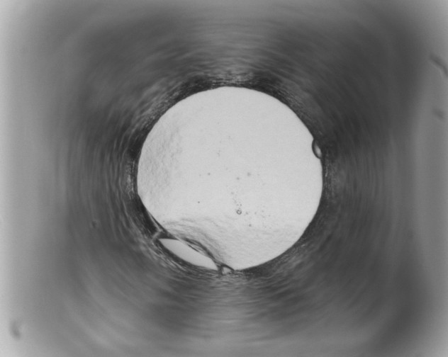 X0000098131058200805151110