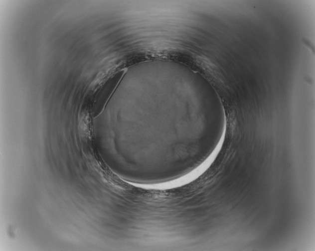 X0000098131060200805151110