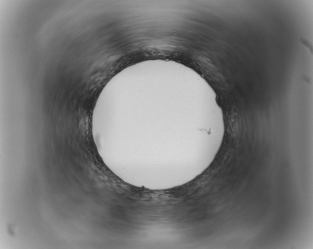 X0000098131061200805151110