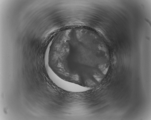 X0000098131063200805151110