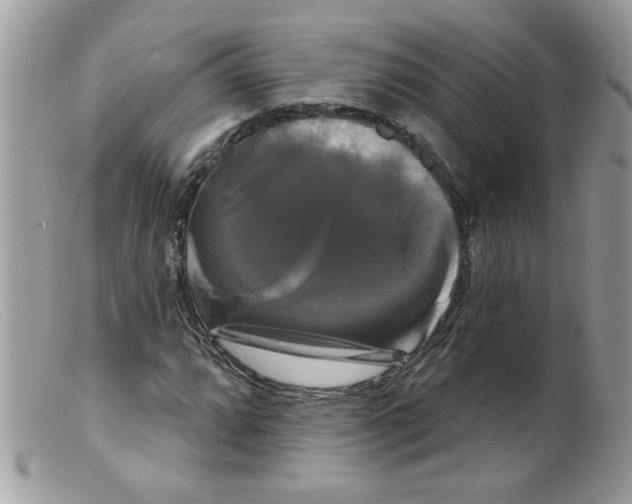 X0000098131064200805151110